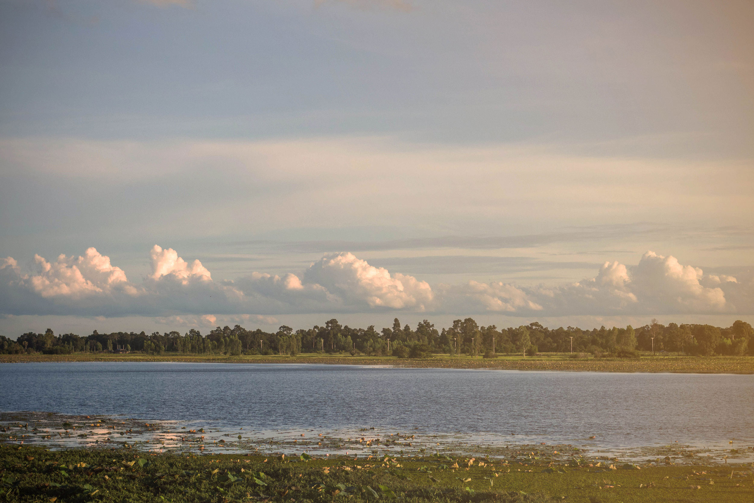 Countryside picture of a lake